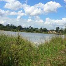 Resting place for the day behind Waterford Shops